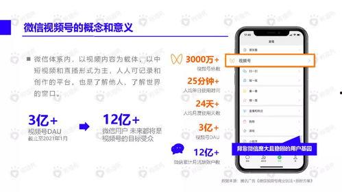 爆料网红裙子视频下载,揭秘时尚潮流背后的秘密 第3张 爆料网红裙子视频下载,揭秘时尚潮流背后的秘密 第3张
